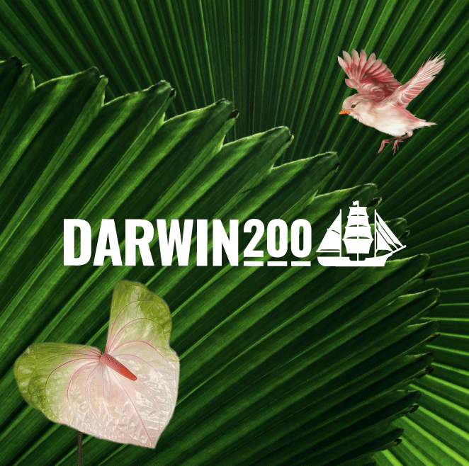 Darwin200 Website Design And Development Yes Creative Portsmouth